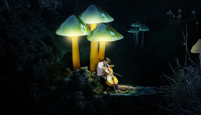 Enchanted Musicians
